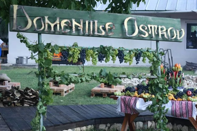 România, pe harta vinului. Domeniile Ostrov