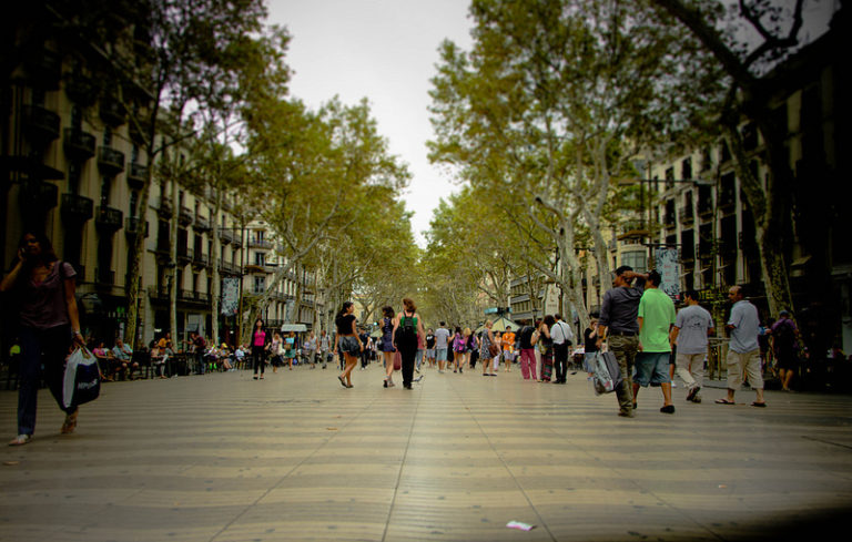 „Căpșunarii” și diaspora