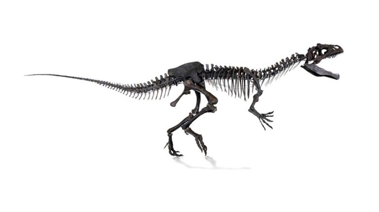 Un dinozaur de două milioane de… euro