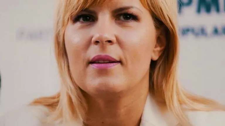 Elena Udrea şi Bica, în arest preventiv pentru două luni