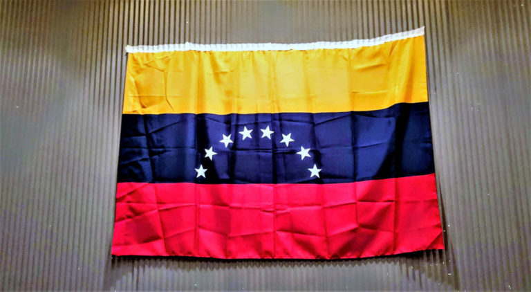 România îl recunoaște pe Juan Guaido în calitatea de preşedinte interimar al Venezuelei