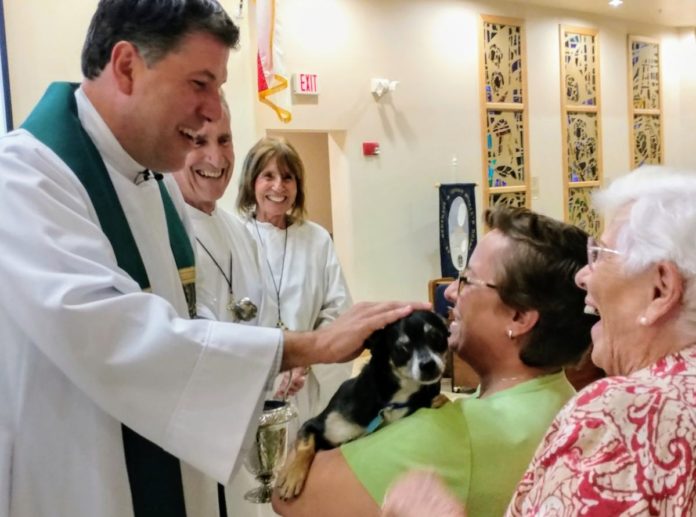 florida slujba caini