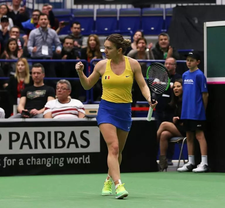 simona halep fedcup