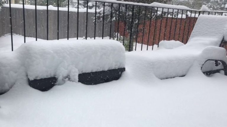 25 de centimetri de zăpadă la Calgary