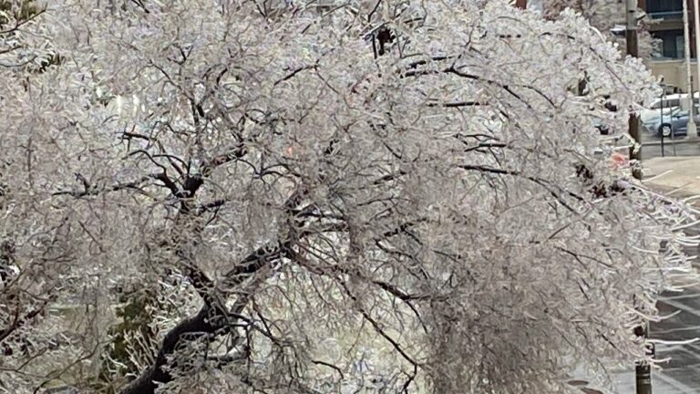 Școlile din Montreal vor fi închise joi, 6 aprilie