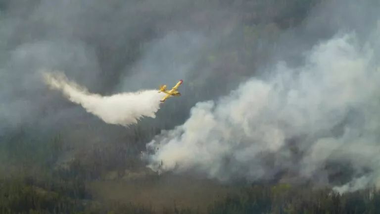 Fumul de la incendiile de vegetaţie din Canada a ajuns până în Europa